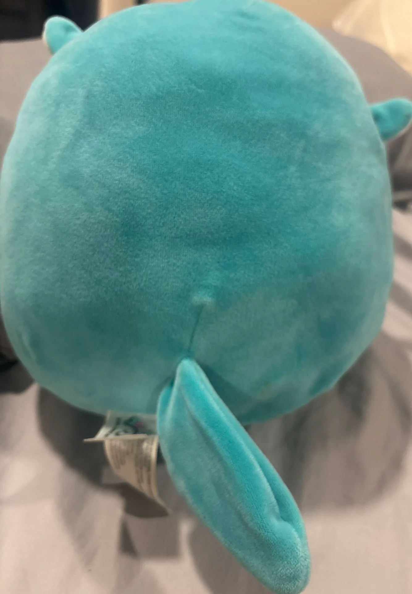 8” Squishmallow Ace the Blue Unicorn – Excellent Condition image indicator(5)