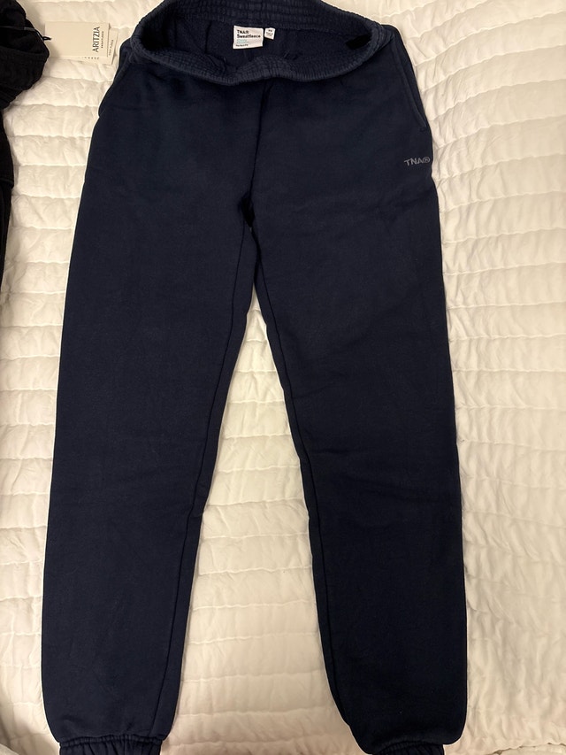 Aritzia sweatpants