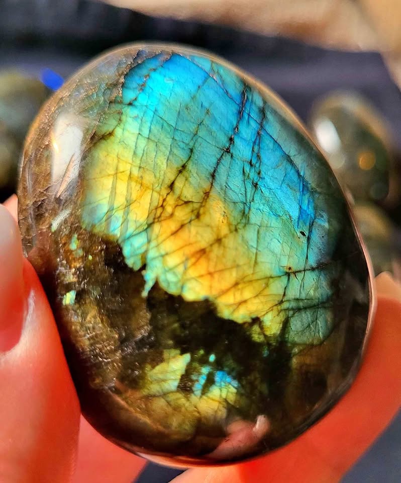 CRYSTALS - Labradorite Palms - High quality -