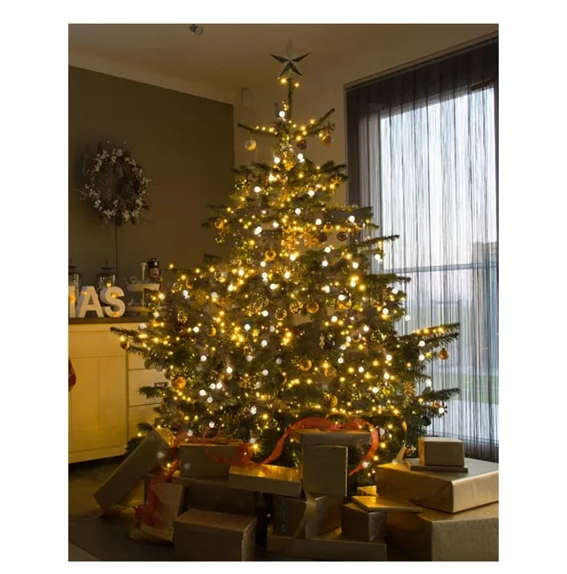 Globe String Lights 59 Ft 100 LED Fairy Lights image indicator(4)