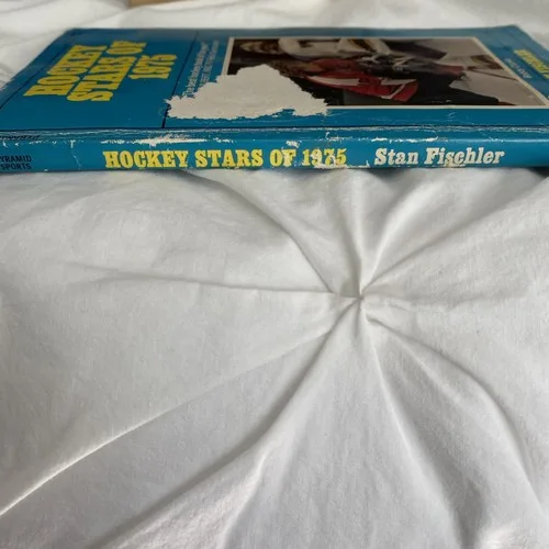 Hockey Stars Of 1975 And 1976 image indicator(3)