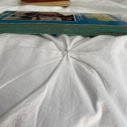 Hockey Stars Of 1975 And 1976 image indicator(4)