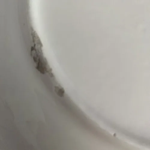 Excl For Himark Pasta Bowl 11”  Made In Italy image indicator(3)