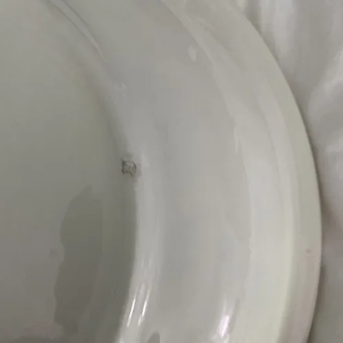 Excl For Himark Pasta Bowl 11”  Made In Italy image indicator(4)