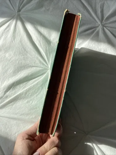 Roy Rodgers And The Outlaws Of Sundown Valley Book image indicator(6)