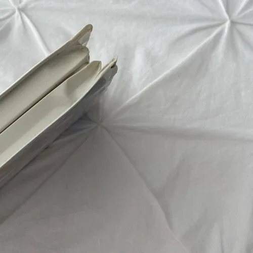 Lilo & Stitch (VHS, 2002) image indicator(5)