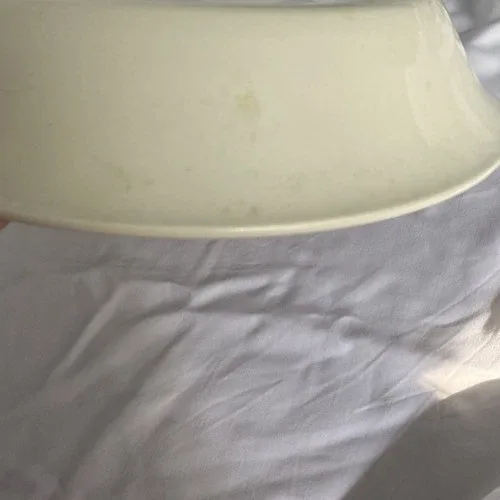 Strawberry pie plate with recipe image indicator(4)