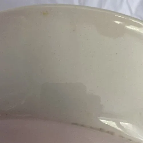 Strawberry pie plate with recipe image indicator(6)