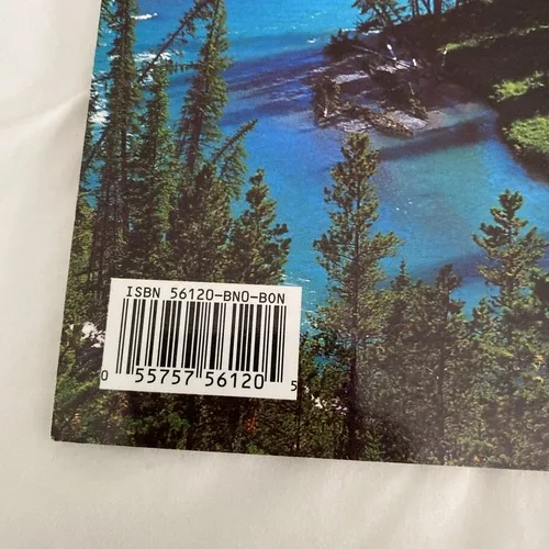 BANFF NATIONAL PARK By Carl Benn - Copyright 2022 image indicator(10)