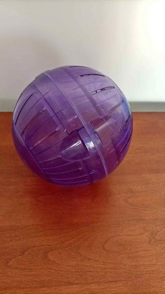 ‼️NEED GONE ASAP‼️Hamster Ball