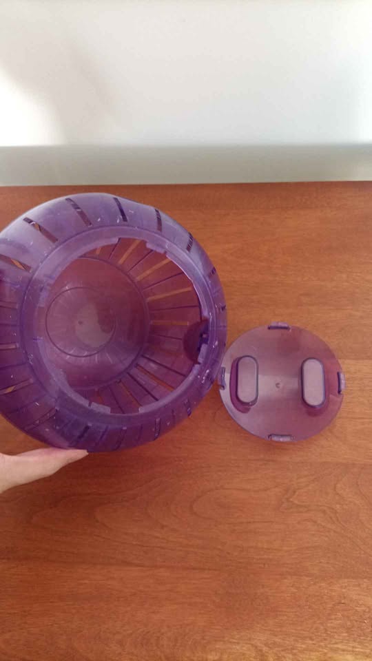 ‼️NEED GONE ASAP‼️Hamster Ball - photo 2