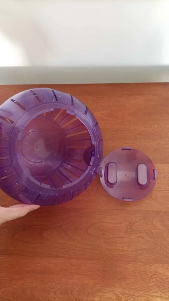 ‼️NEED GONE ASAP‼️Hamster Ball image indicator(2)