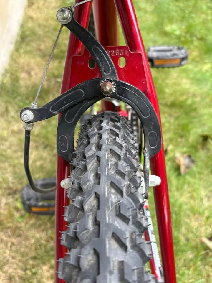 Girl’s Woman’s Mountain Bike - 15 Speed - Made in Canada image indicator(4)