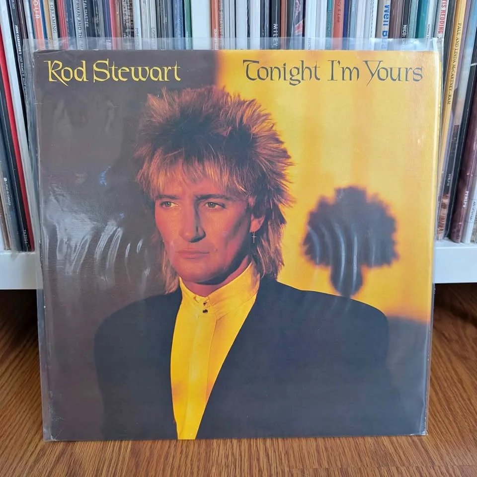 Rod Stewart - Tonight I'm Yours Vinyl LP thumbnail