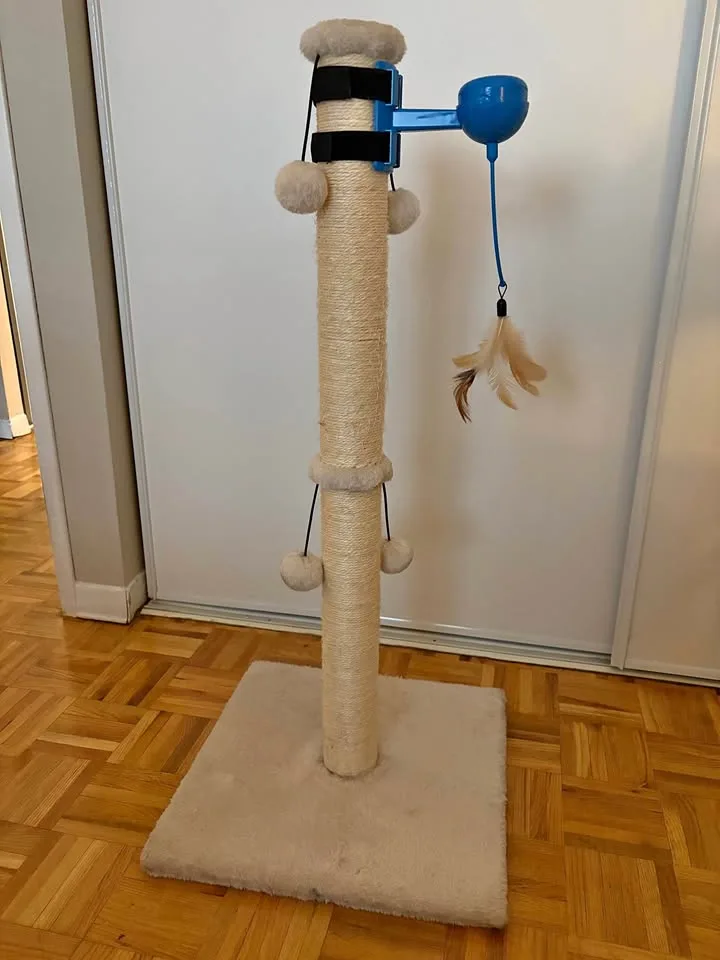 Cat Scratching Post thumbnail