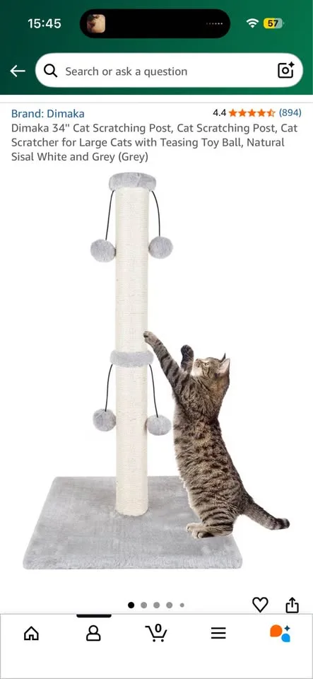 Cat Scratching Post image indicator(2)