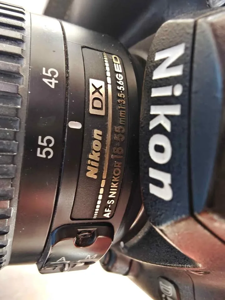Nikon D50 camera combo image indicator(7)