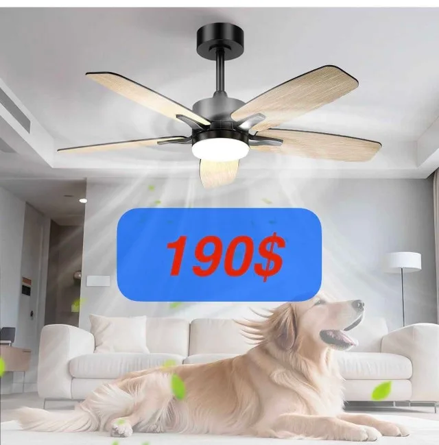 Hisummer 42" DC Ceiling Fan with LED Light & Remote