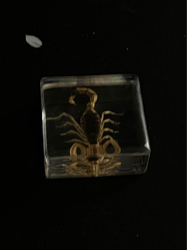 Decoration scorpion in resin - photo 2