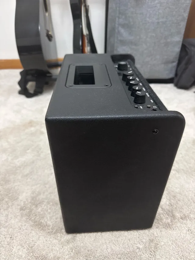 Fender Mustang LT25 image indicator(2)