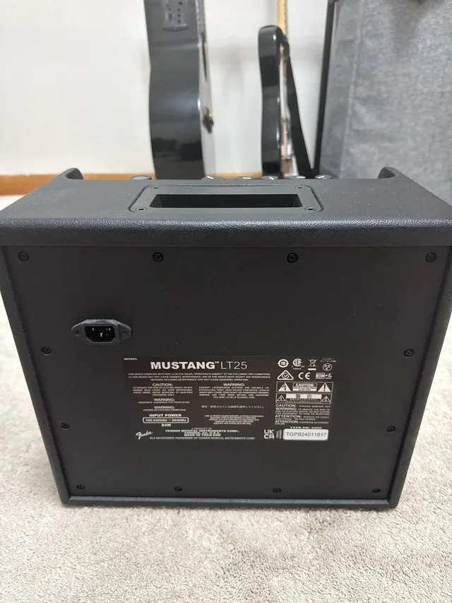 Fender Mustang LT25 image indicator(3)