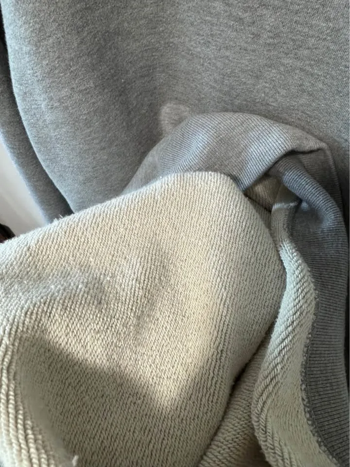 Loopwheeler Heavyweight Made in Japan Sweatshirt image indicator(5)