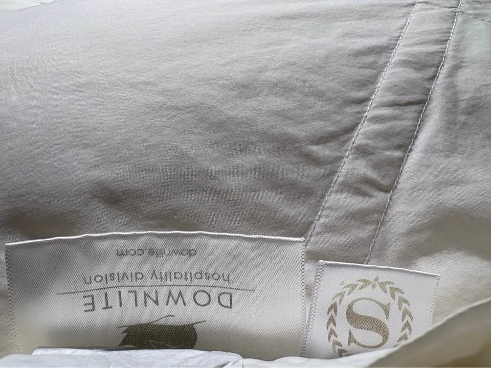Queen Down Comforter – Hotel Quality by Downlite – $50 image indicator(3)