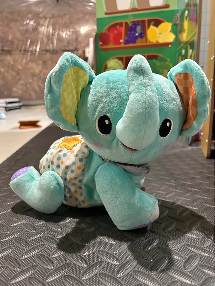 Crawl With Me Baby Elephant