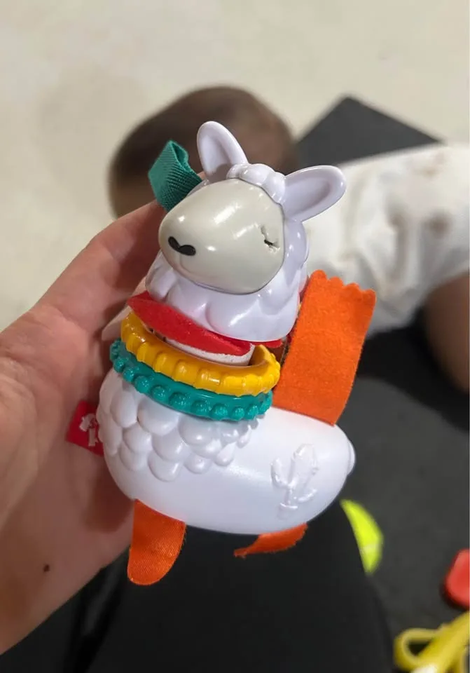 Assorted Baby Toys & Book image indicator(2)