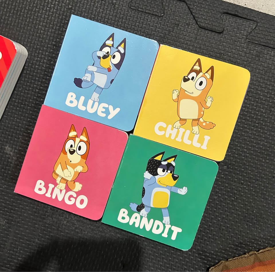 Mini Bluey Book Set - photo 2