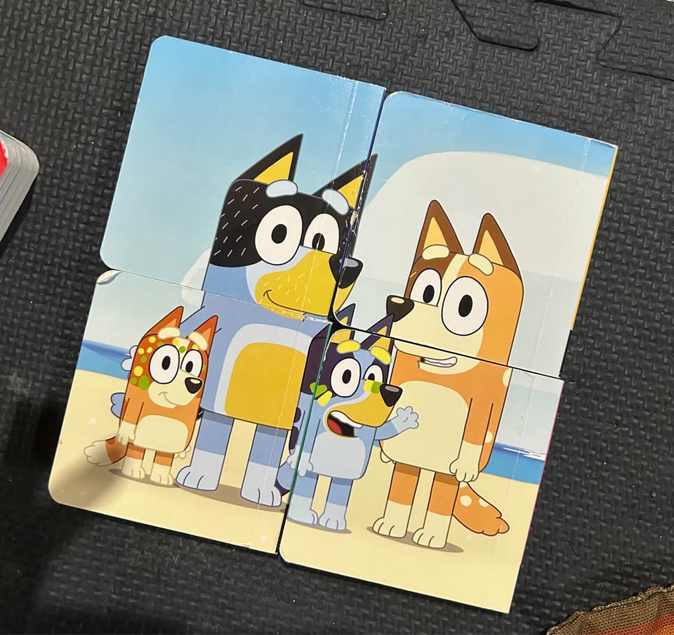 Mini Bluey Book Set - photo 4
