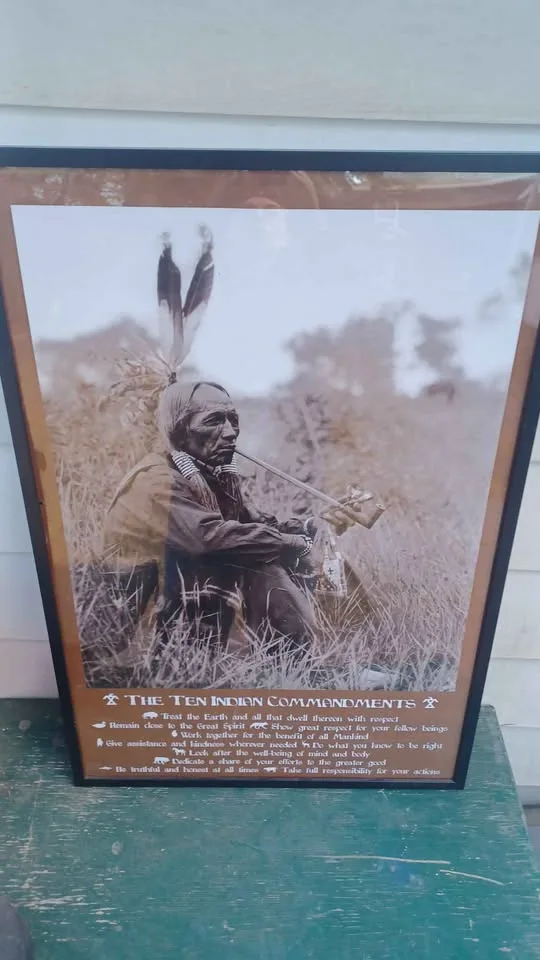 The 10 Indian Commandments picture image indicator(2)