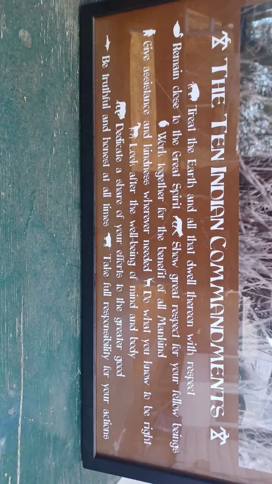 The 10 Indian Commandments picture image indicator(3)