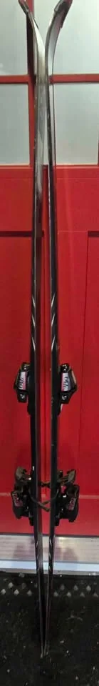 Elan 198cm PSX Monoblock Ski's image indicator(3)