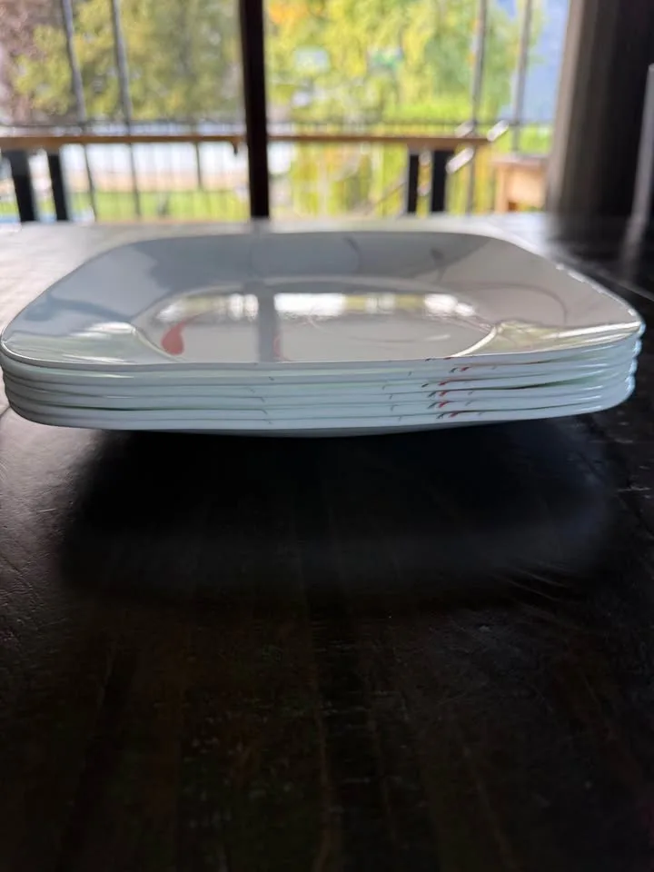 Corelle Dinner Plates image indicator(2)