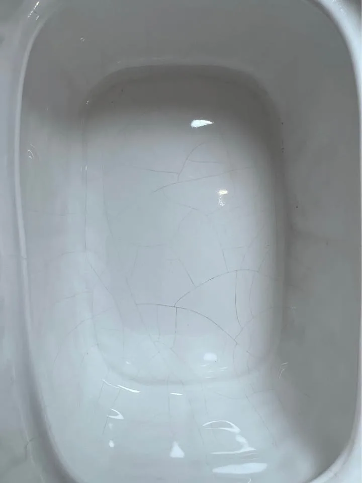 Embossed Cabbage Leaf White Covered Square Bowl image indicator(7)