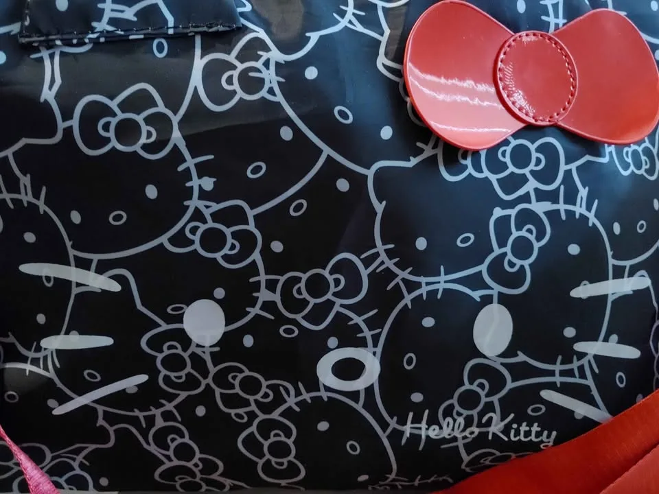 Hello Kitty Luggage / Gym Bag image indicator(3)