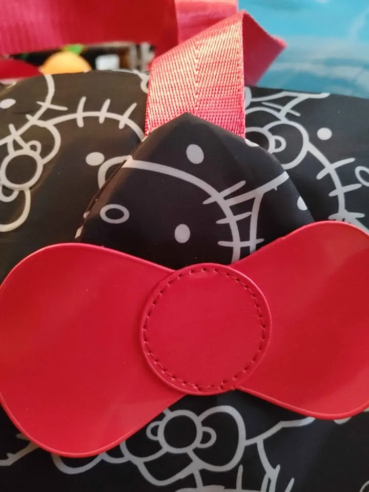 Hello Kitty Luggage / Gym Bag image indicator(5)