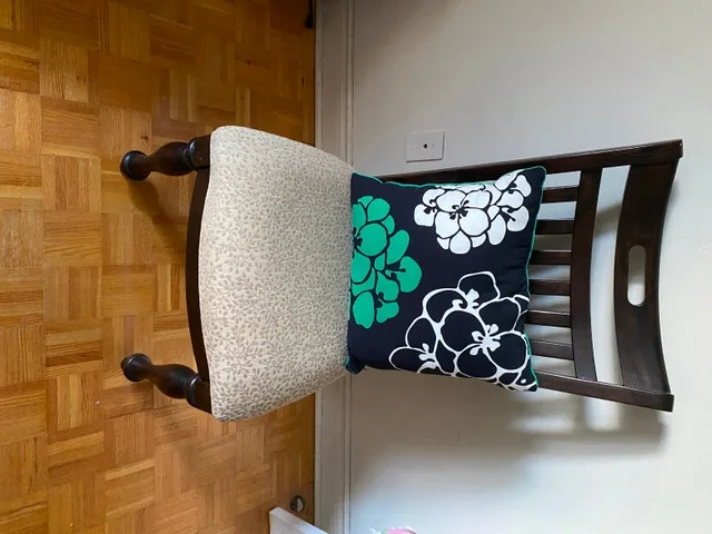 Dining chair with cushion