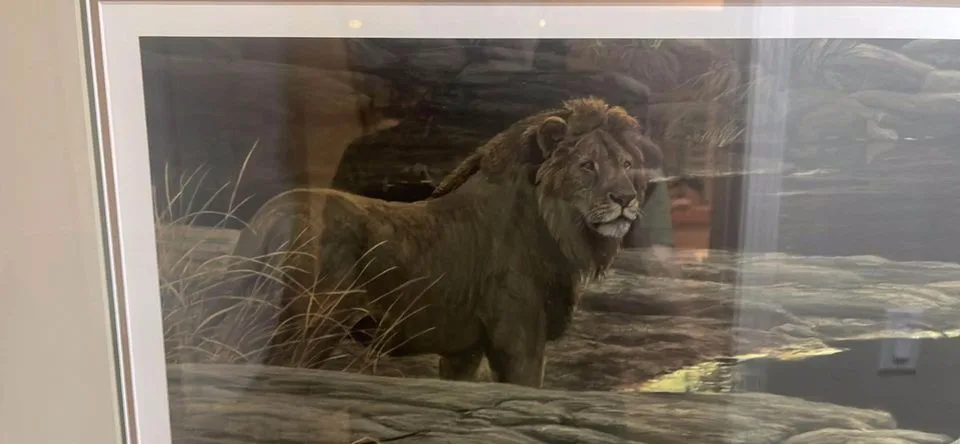 Framed Limited Edition Print by Robert Bateman image indicator(2)