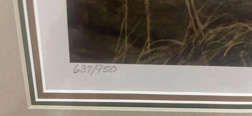 Framed Limited Edition Print by Robert Bateman image indicator(3)