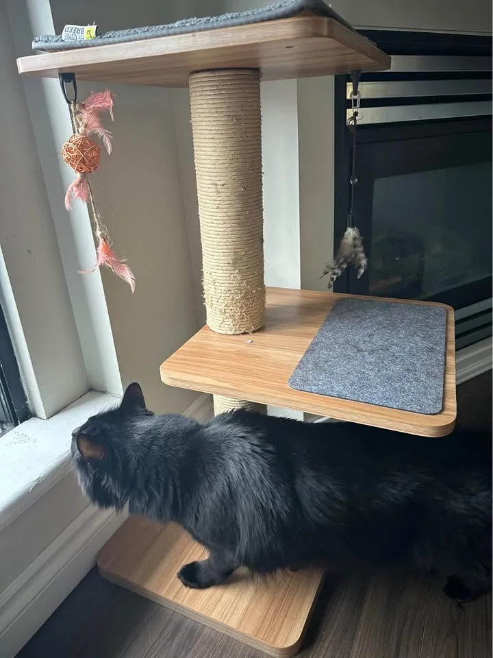 Cat Tree image indicator(3)