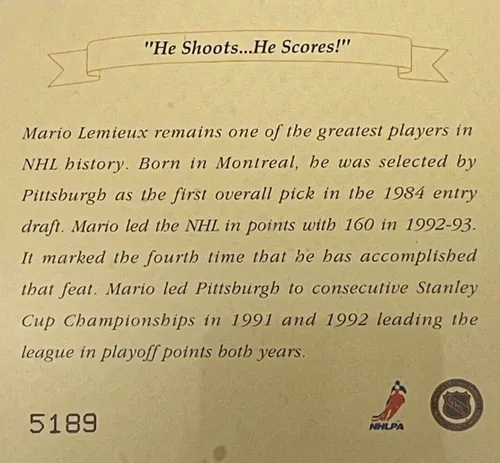 MARIO LEMIEUX Framed Limited Edition HOF NHL PENGUINS #66 image indicator(3)