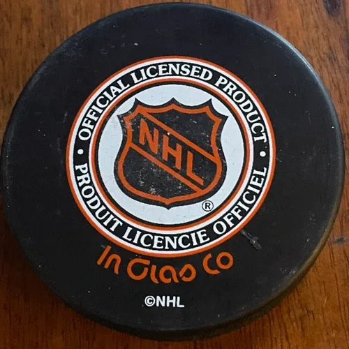 1999 ALL STAR GAME PUCK TAMPA BAY VINTAGE INGLASCO - VEGUM image indicator(2)