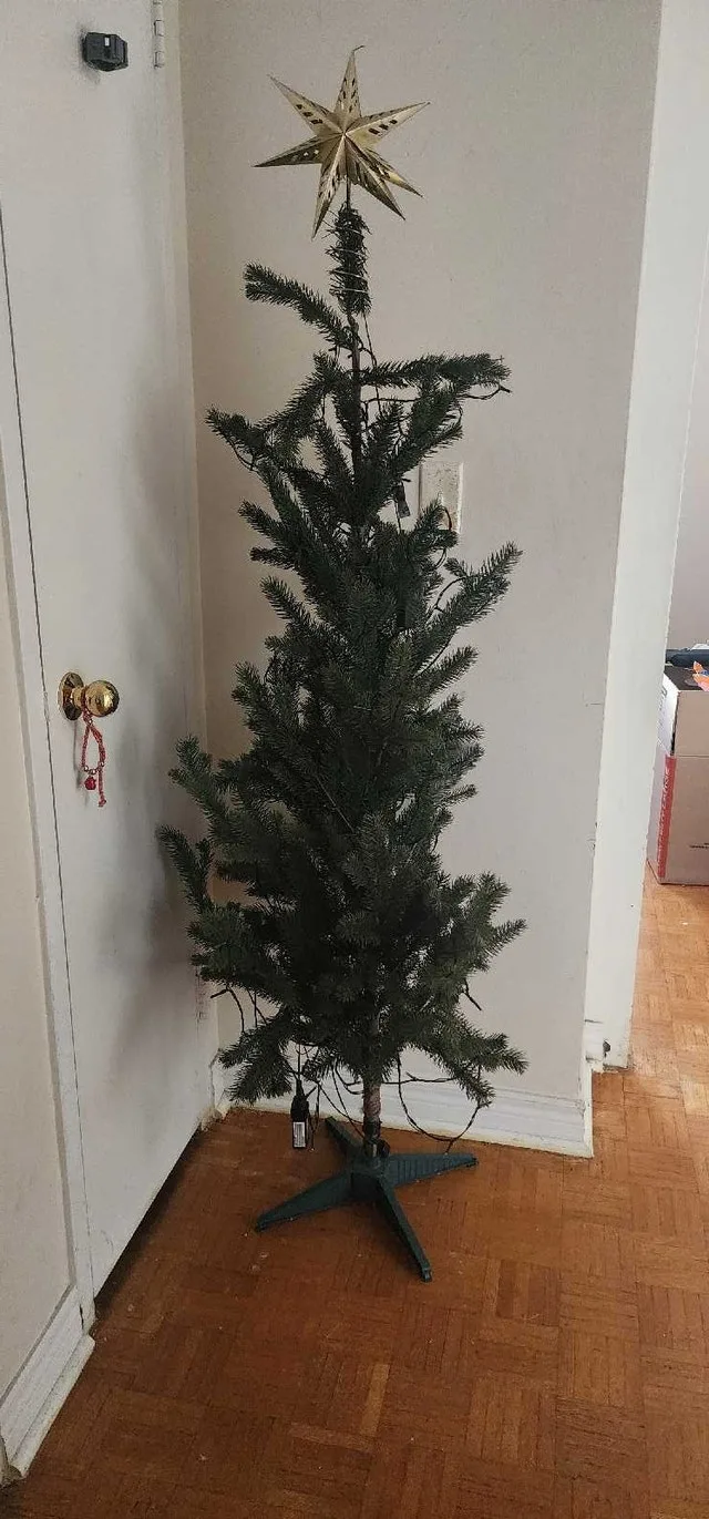 Christmas Tree + lots of ornaments + light strip