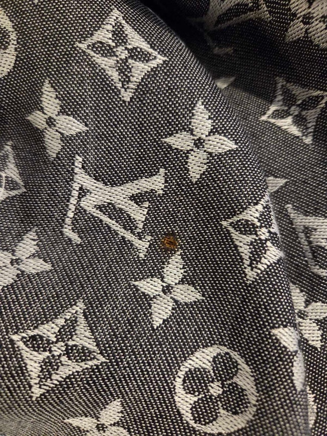 Authentic Louis Vuitton Monogram Shawl - photo 3