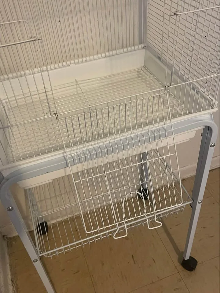 Birds Cage for sale $50 image indicator(3)