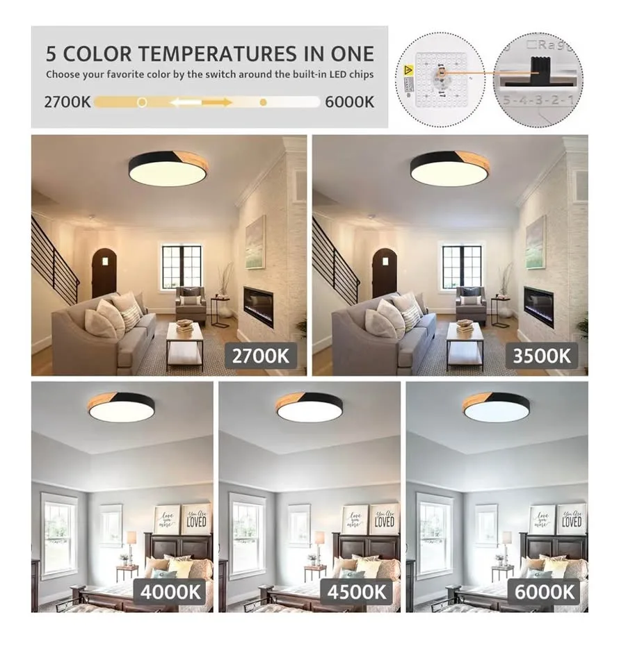 New Modern Black Flush Mount Ceiling Light image indicator(3)