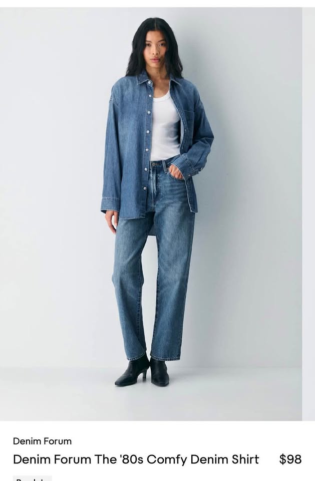 Aritzia Denim Forum The '80s Comfy Denim Shirt