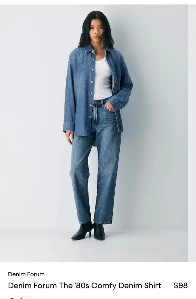 Aritzia Denim Forum The '80s Comfy Denim Shirt